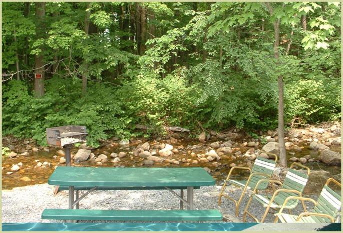 Seven Dwarfs Motel&Cabins Lake George Buitenkant foto